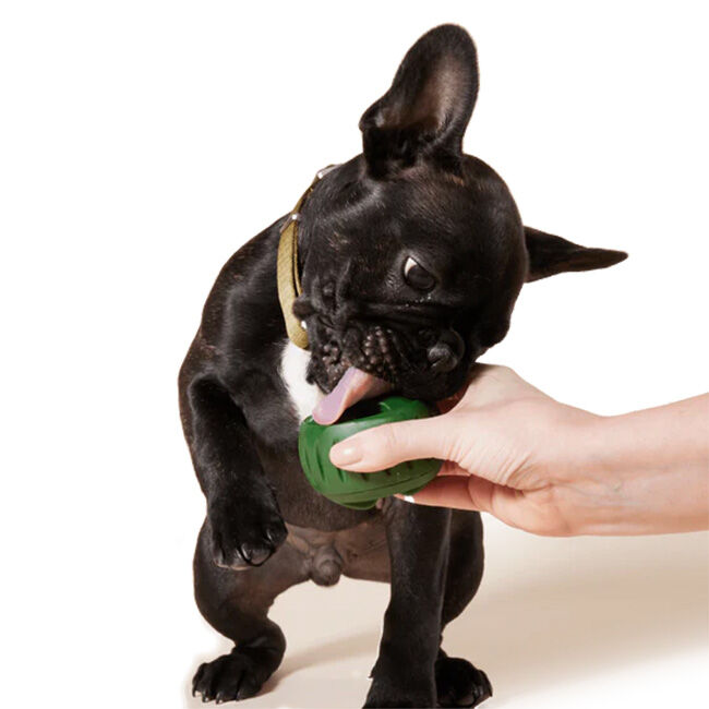 95171729-4.jpg image number null