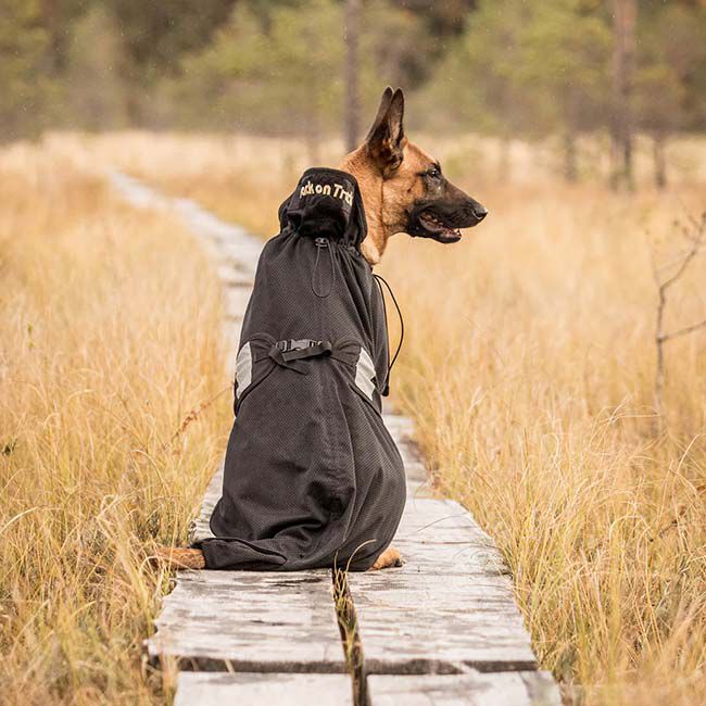 Back on Track Mesh Dog Coat - Black image number null