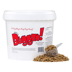 HorseTech Buggzo!