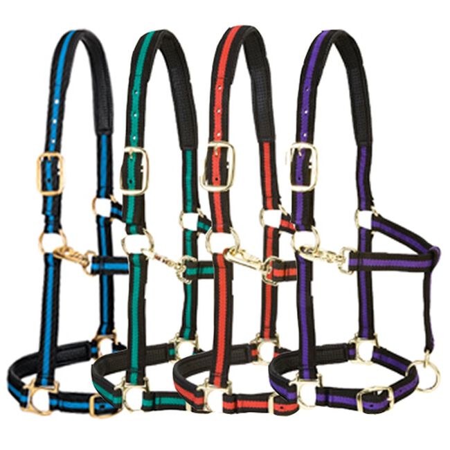 Weaver Padded Adjustable Nylon Halter The Cheshire Horse