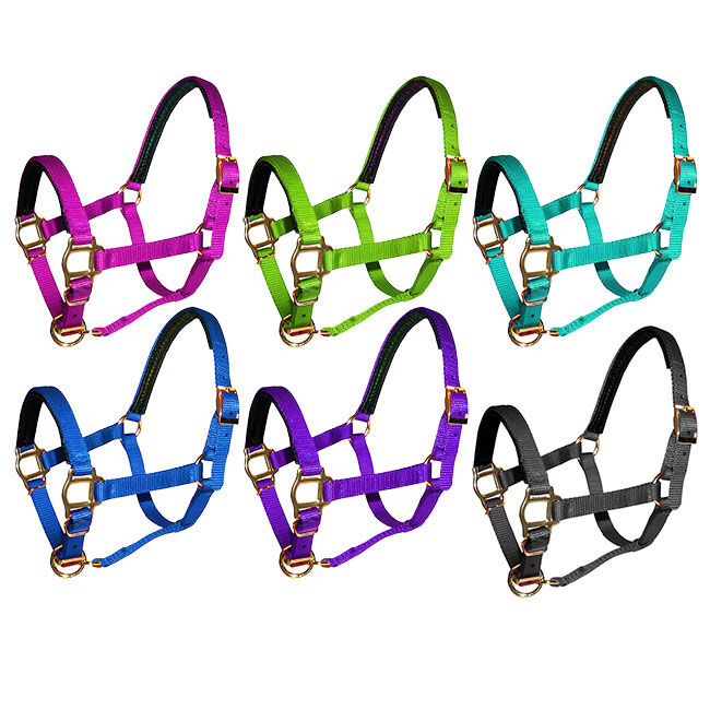 Triple E Mini Premium Nylon PVC Padded Halter image number null