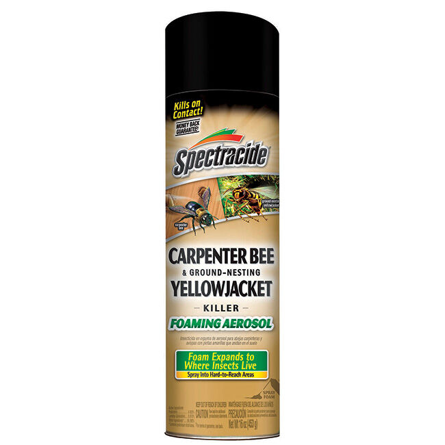 Spectracide Carpenter Bee & Yellowjacket Foaming Aerosol Killer - 16 oz image number null