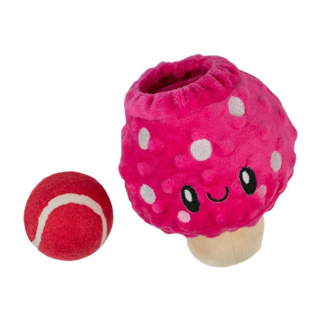 Territory 2-in-1 Dog Toy - Mushroom image number null