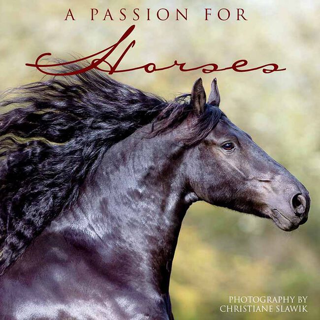 A Passion for Horses image number null