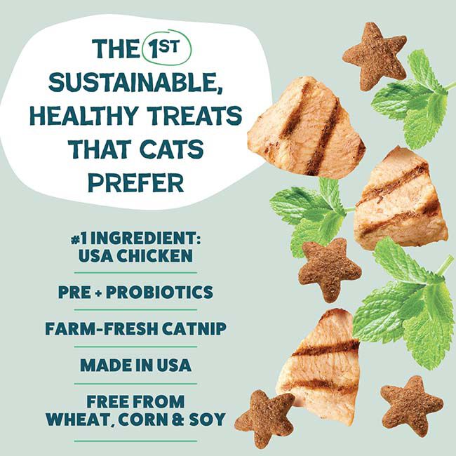 Shameless Pets Crunchy Cat Treats - Catnip N Chill with Real Chicken & Catnip - 2.5 oz image number null