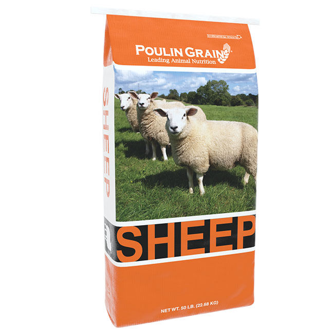 Poulin Grain Complete Sheep - Pellets - 50 lb image number null