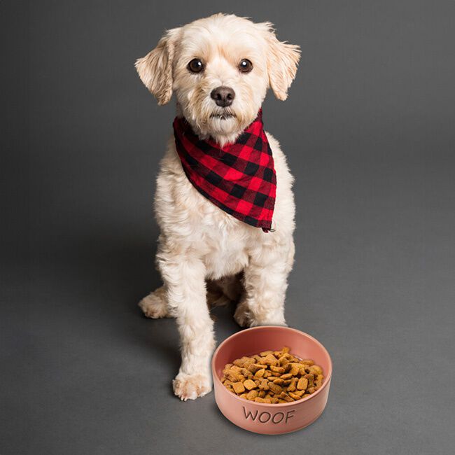 Spot Portofino Dog Dish - Blush Pink image number null