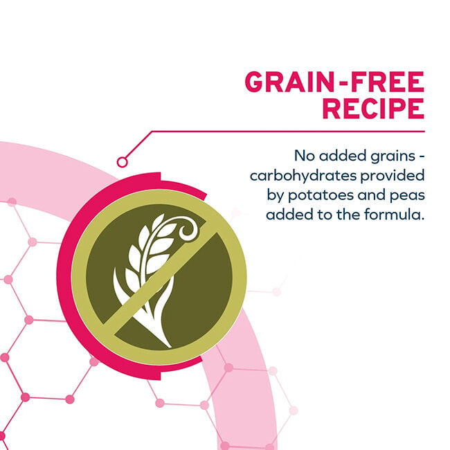 Forza10 DailyPro Healthy Digestion Food for Medium/Large Dogs image number null