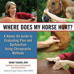 Where Does My Horse Hurt