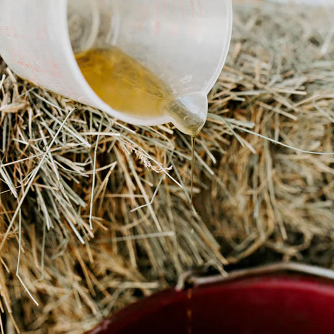 Canpressco Camelina Oil image number null