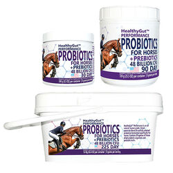 Equa Holistics HealthyGut Probiotics for Horses: Performance