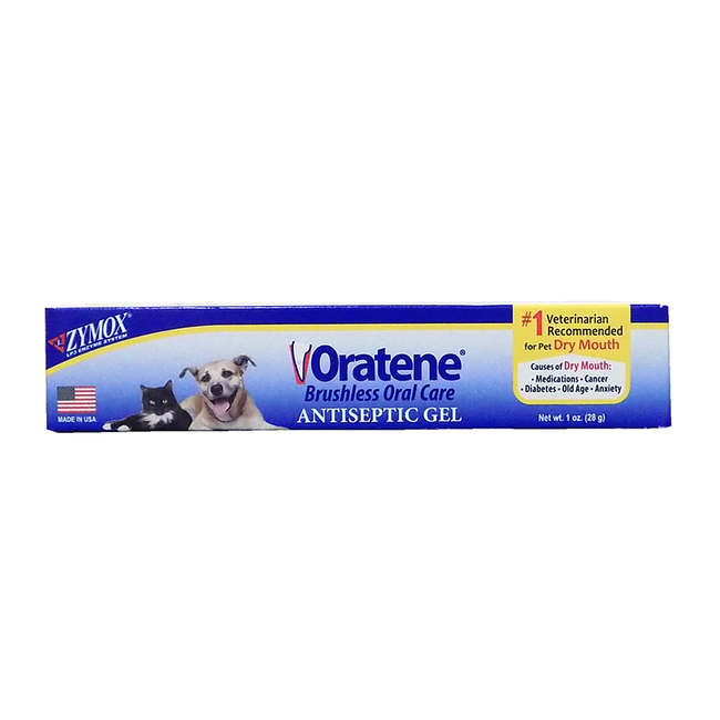 Oral antiseptic on sale for dogs
