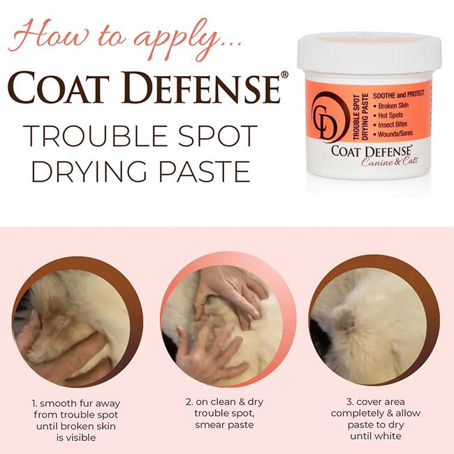 Coat Defense Trouble Spot Drying Paste for Dogs & Cats image number null
