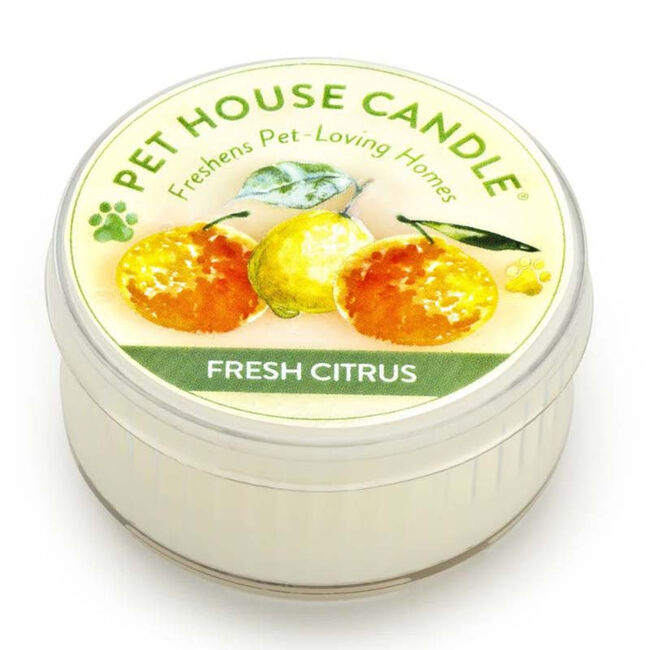 Pet House Mini Candle image number null