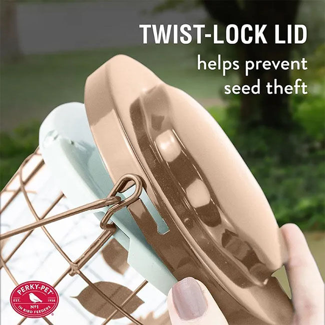 Perky-Pet Squirrel Stumper Wild Bird Feeder - Brass image number null