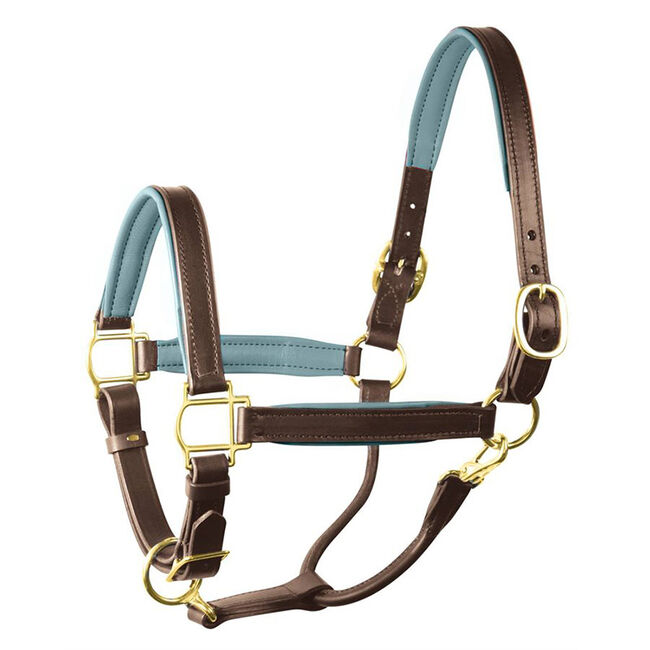 Perri's Leather Padded Leather Halter image number null