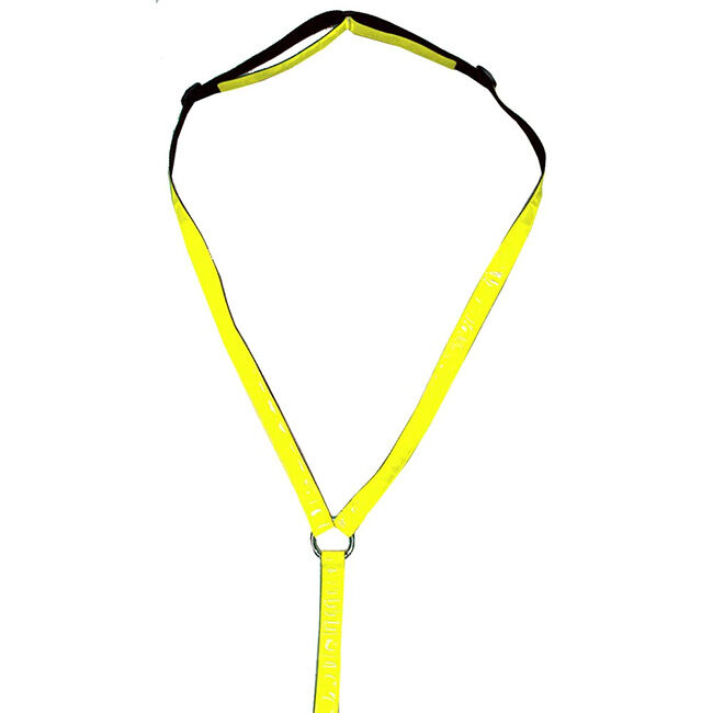 Intrepid International VisEquips Reflective Breastplate image number null