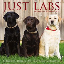 Willow Creek Press 2024 Mini Wall Calendar - Just Labs