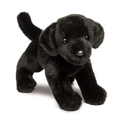 Douglas Brewster the Black Lab