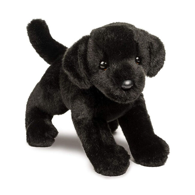 Douglas Brewster Black Lab Plush Toy image number null