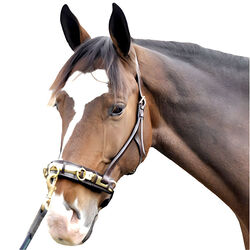 Exselle Leather Lunging Cavesson for Ponies