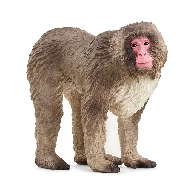 Schleich Japanese Macaque image number null