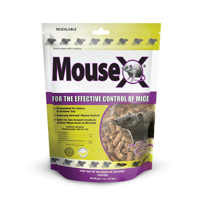 EcoClear MouseX Rodent Control 2 Pack Tray image number null