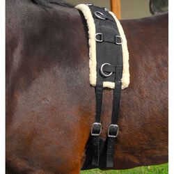 Intrepid International Fleece Padded Surcingle