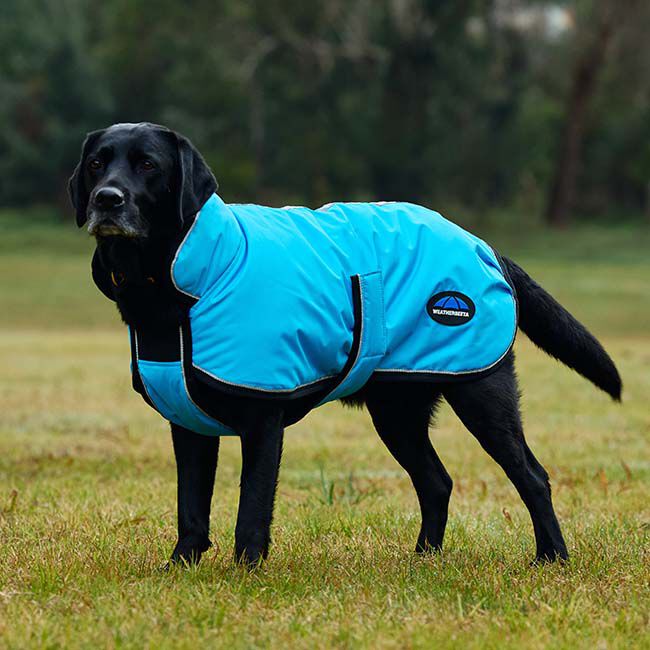 WeatherBeeta ComFiTec Deluxe Showerproof Dog Coat - Blue image number null