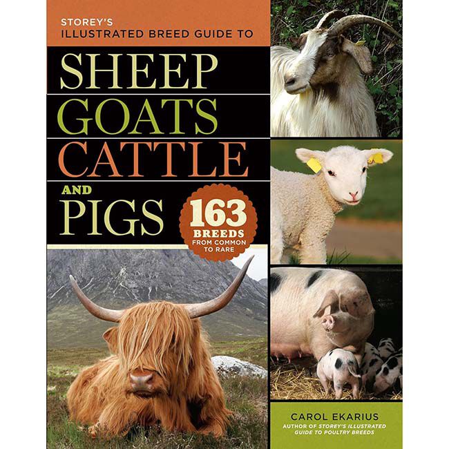 Storey's Illustrated Breed Guide to Sheep, Goats, Cattle, and Pigs: 163 Breeds from Common to Rare image number null