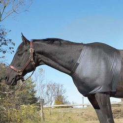 Centaur Lycra Shoulder Guard - Black
