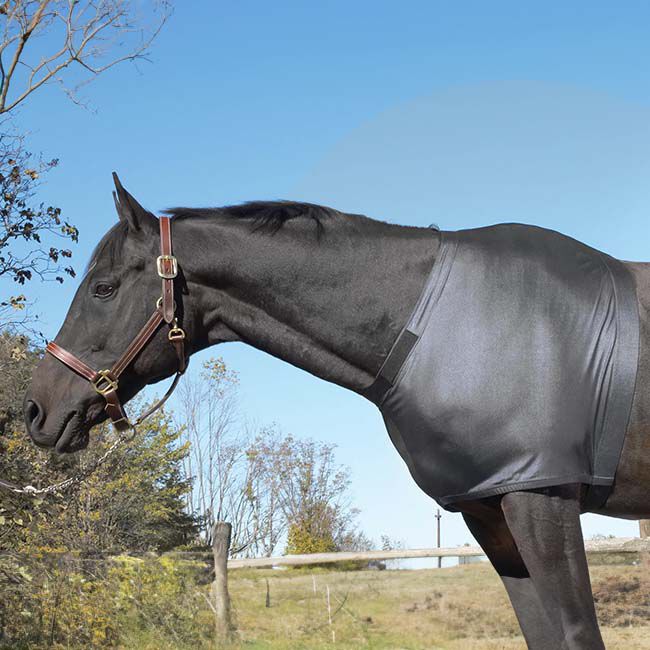 Centaur Lycra Shoulder Guard image number null