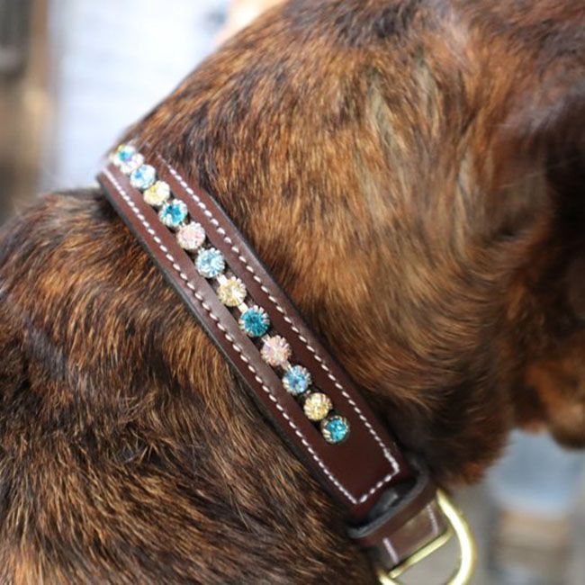 KL Select Crystal Dog Collar - Paradise image number null
