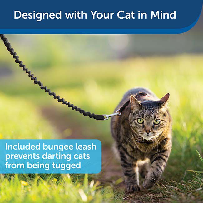 PetSafe Come with Me Kitty Harness & Bungee Leash - Black/Silver image number null