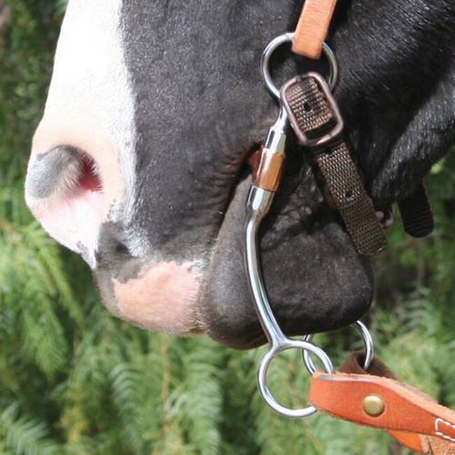 Professional's Choice Bob Avila Correction Bit image number null