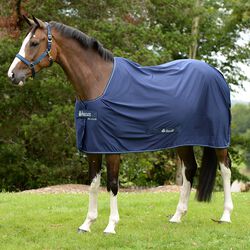 Bucas Power Classic Cooler