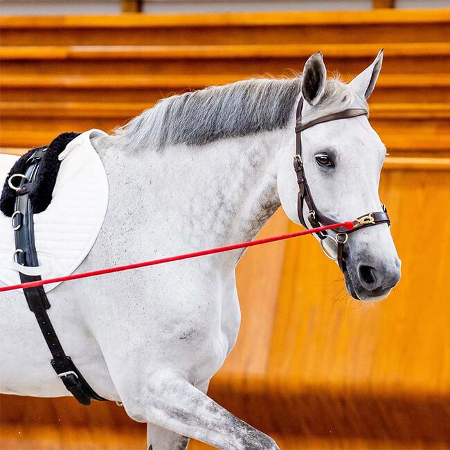 Horseware Rambo Micklem 2 Multi Bridle image number null