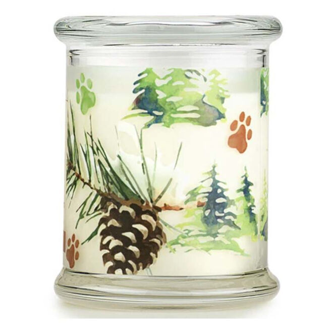 Pet House Candle - Evergreen Forest  image number null