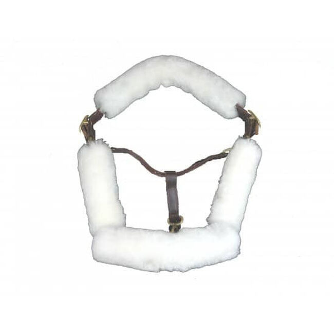 Fleeceworks Sheepskin Halter Fleece Set image number null