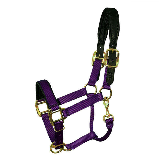 Intrepid International Premium Nylon Breakaway Halter with Padded Crown and Nose image number null