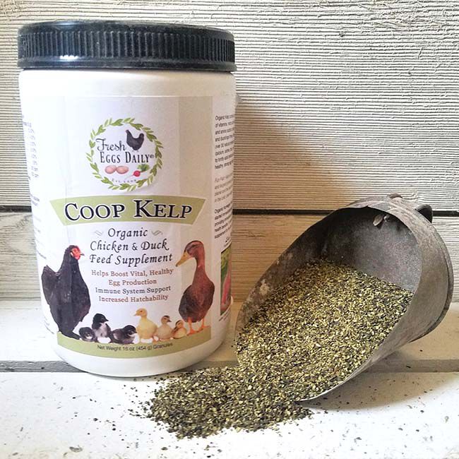 Fresh Eggs Daily Coop Kelp - Organic Immune Support - 20 oz image number null