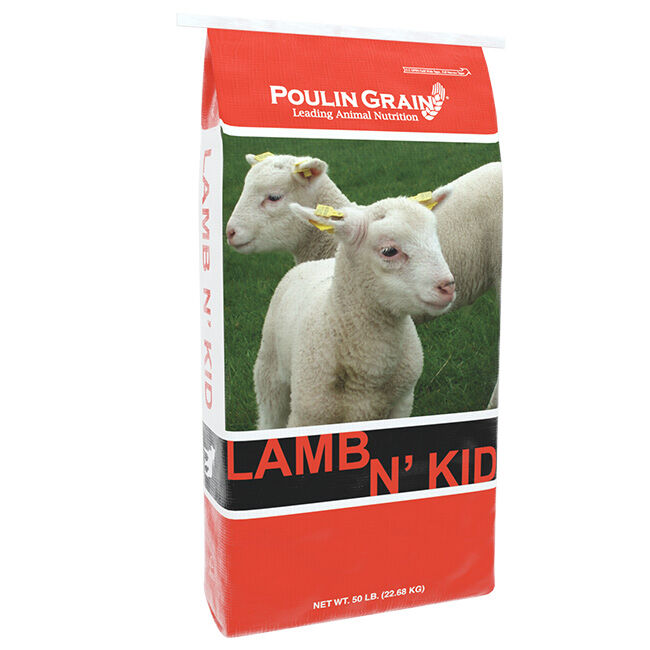 Poulin Grain Lamb N' Kid Starter Pellets - 50 lb image number null