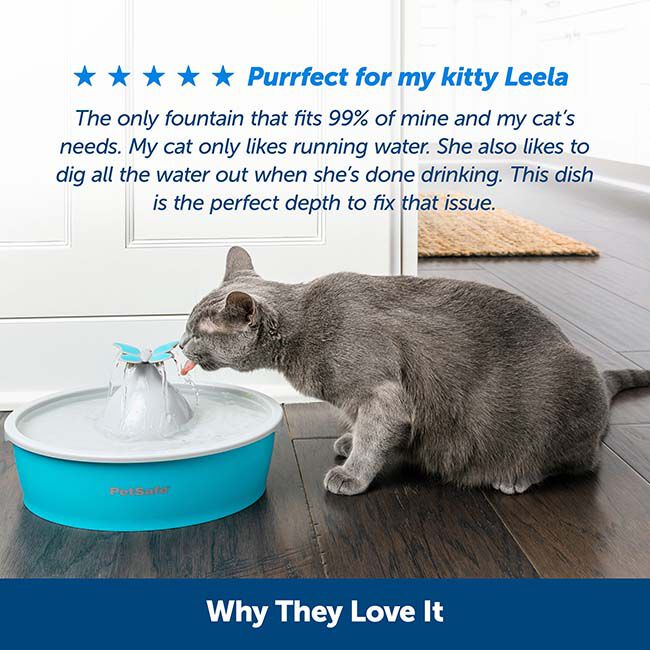 PetSafe Drinkwell Butterfly Fountain image number null