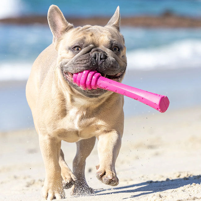 Project Hive Fetch Stick - Wild Berry Scent image number null