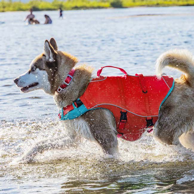 Kurgo Surf N Turf Dog Life Jacket The Cheshire Horse