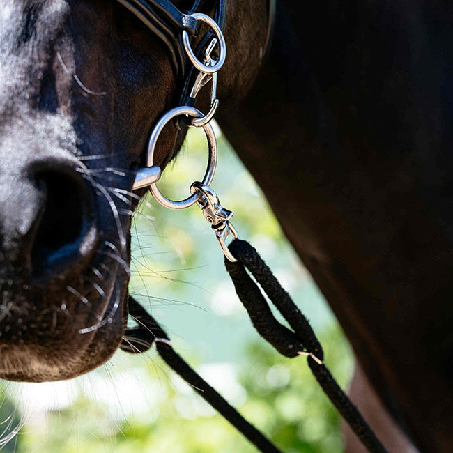 LeMieux Rope Lunging Aid - Black image number null
