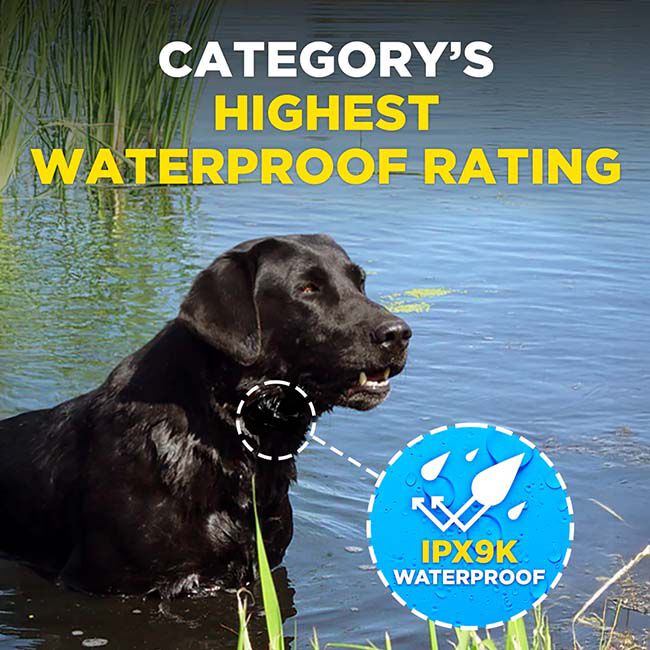 Dogtra Smart Nobark image number null