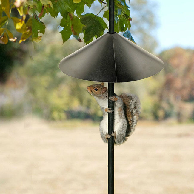 Audubon Squirrel Baffle Birdfeeder Pole Wrap image number null
