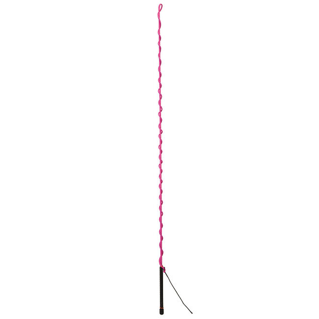 Weaver Graphite Lunge Whip image number null