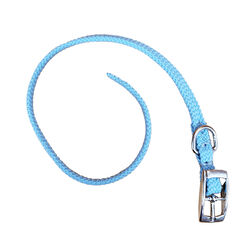 Triple E Small Braided Collar for Cats & Small Dogs - Turquoise